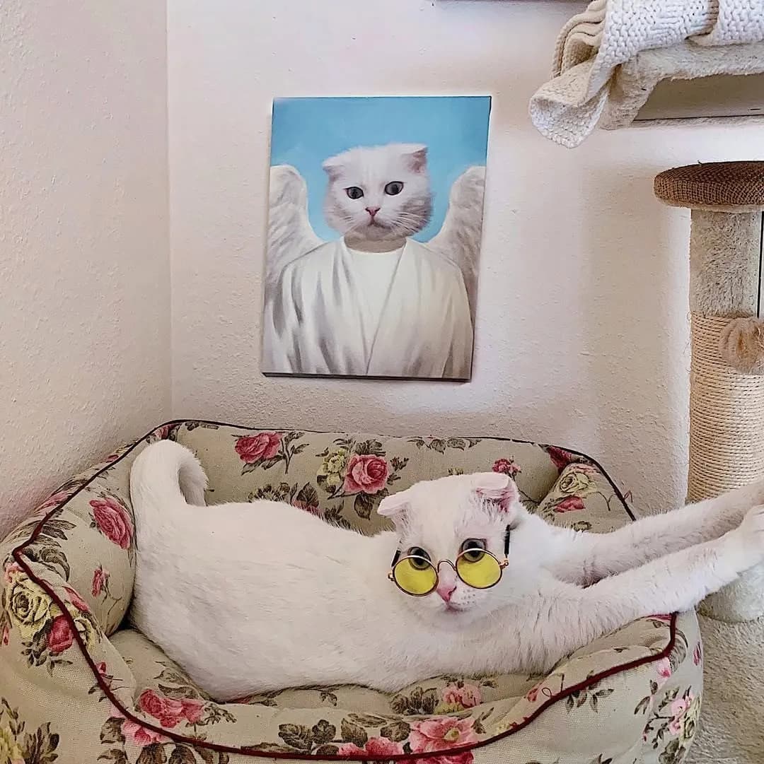 The Angel Custom Pet Canvas