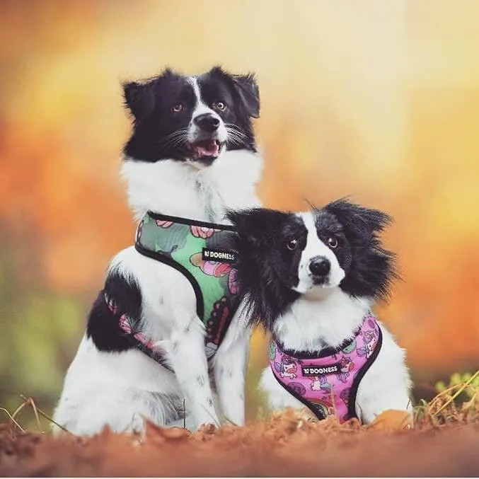 Custom Dog Stuffed Animal (Petsies "Forevers")
