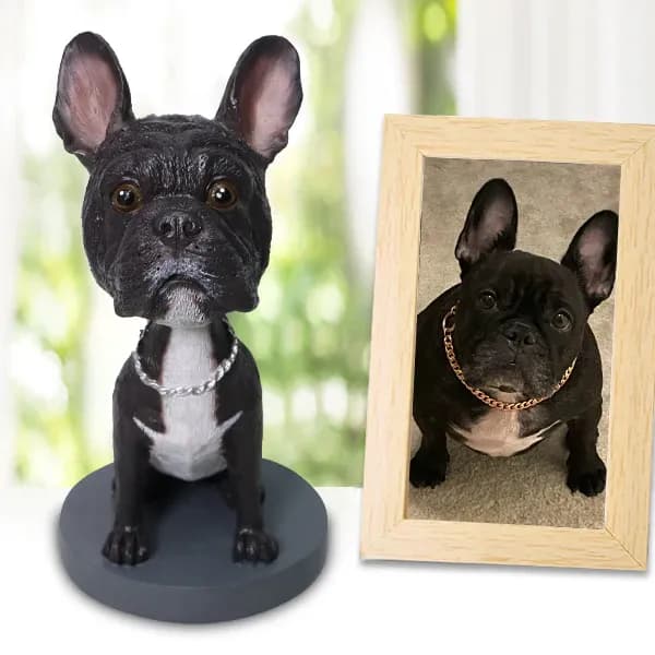Fully Custom Pet Bobblehead from Photo