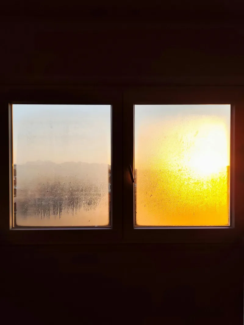 An empty dog bed on a hardwood floor, late afternoon light.