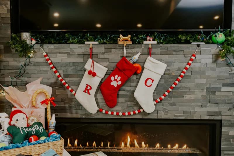 A small ornament on a tree branch alongside a paw-print keepsake.