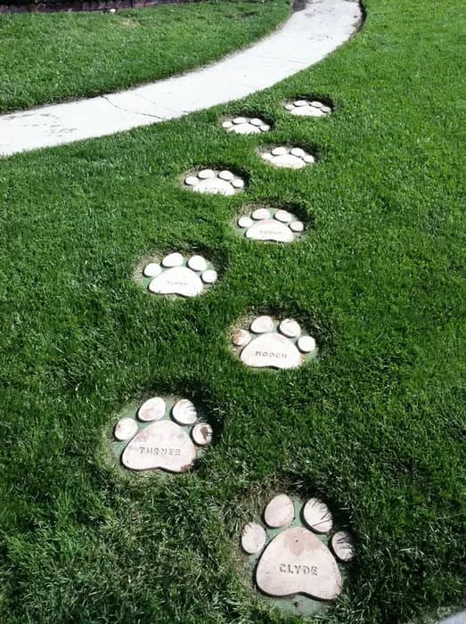 Engraved paw-print stepping stones in a backyard garden