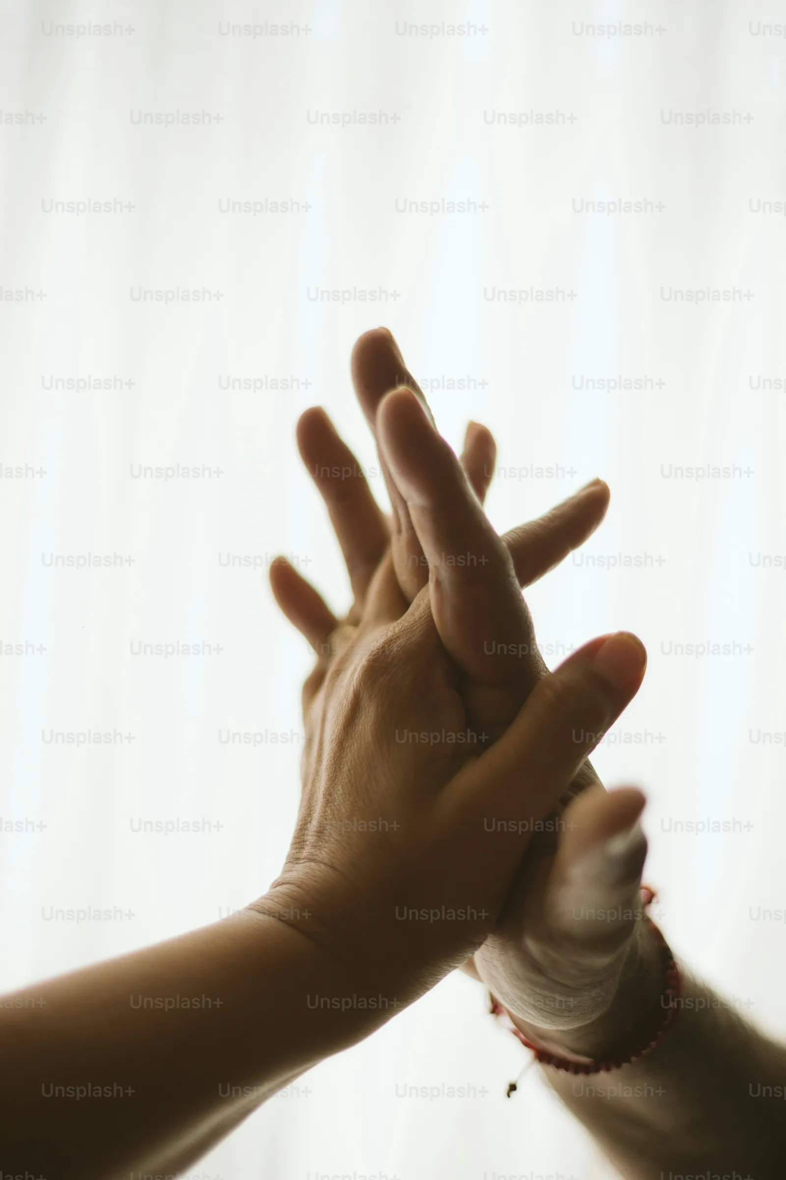 Pet Aquamation Cost: Complete 2026 Guide