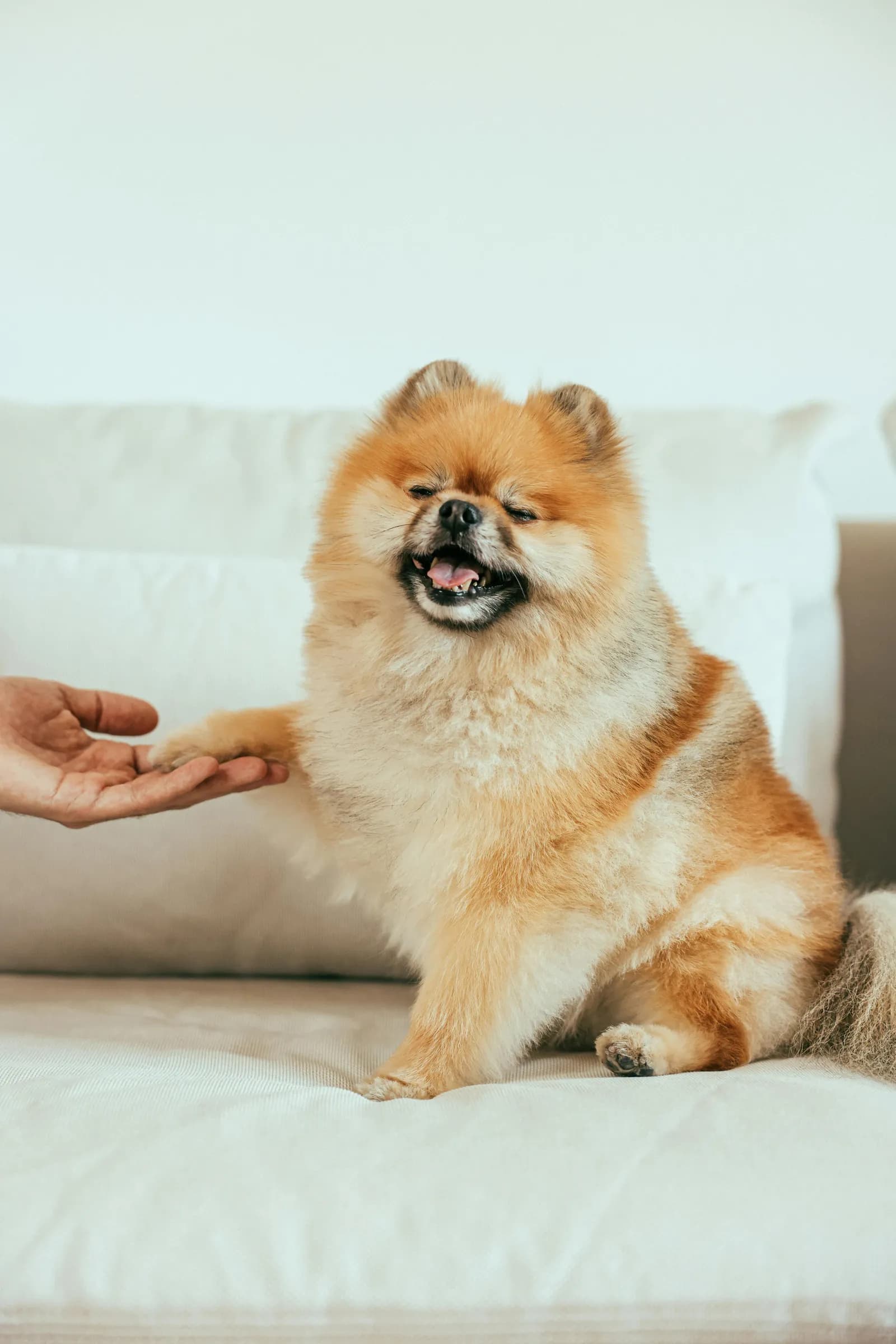 A peaceful goodbye at home