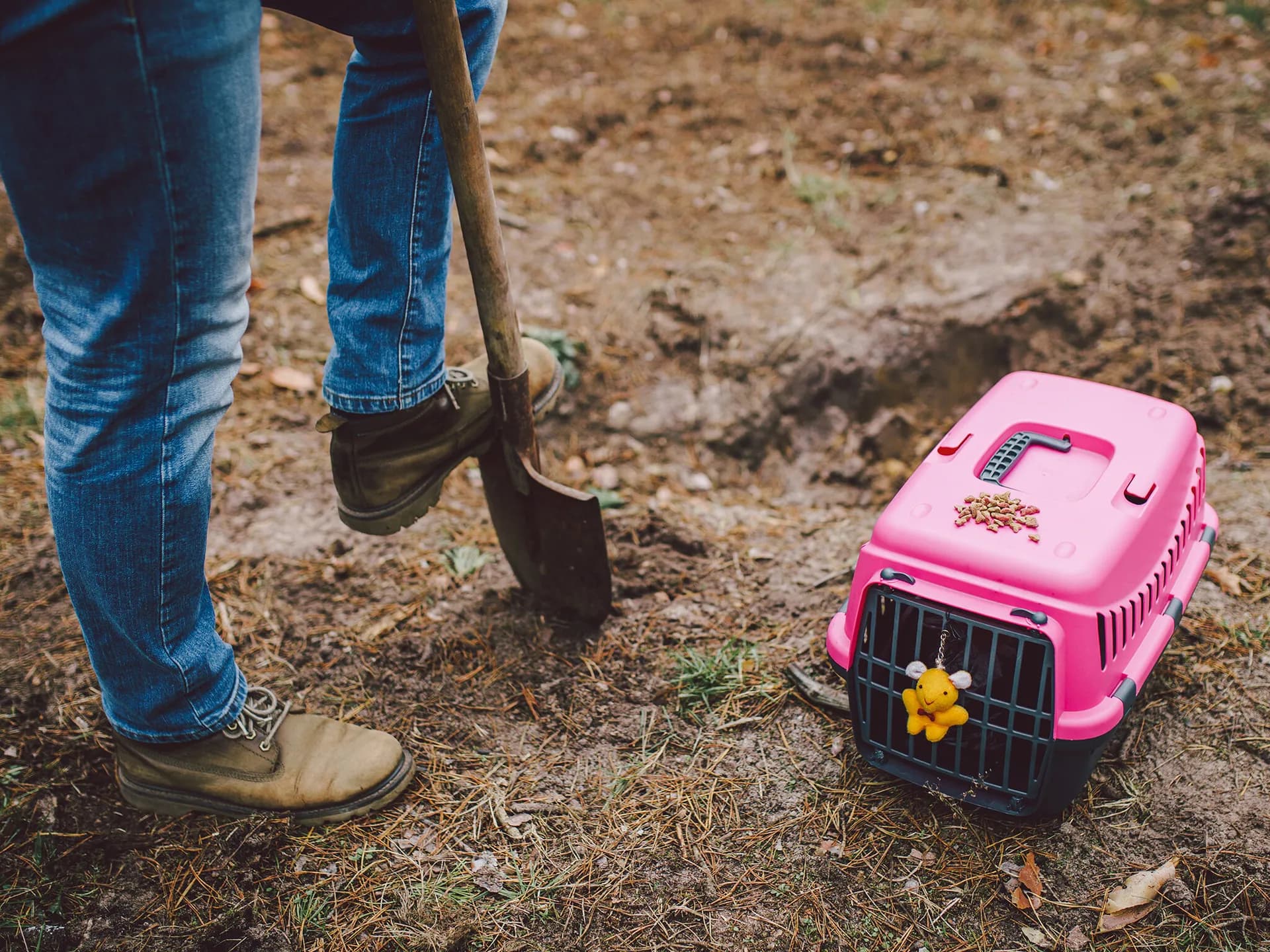 A person digging a backyard grave with a shovel, a small pet carrier resting on the ground nearby.