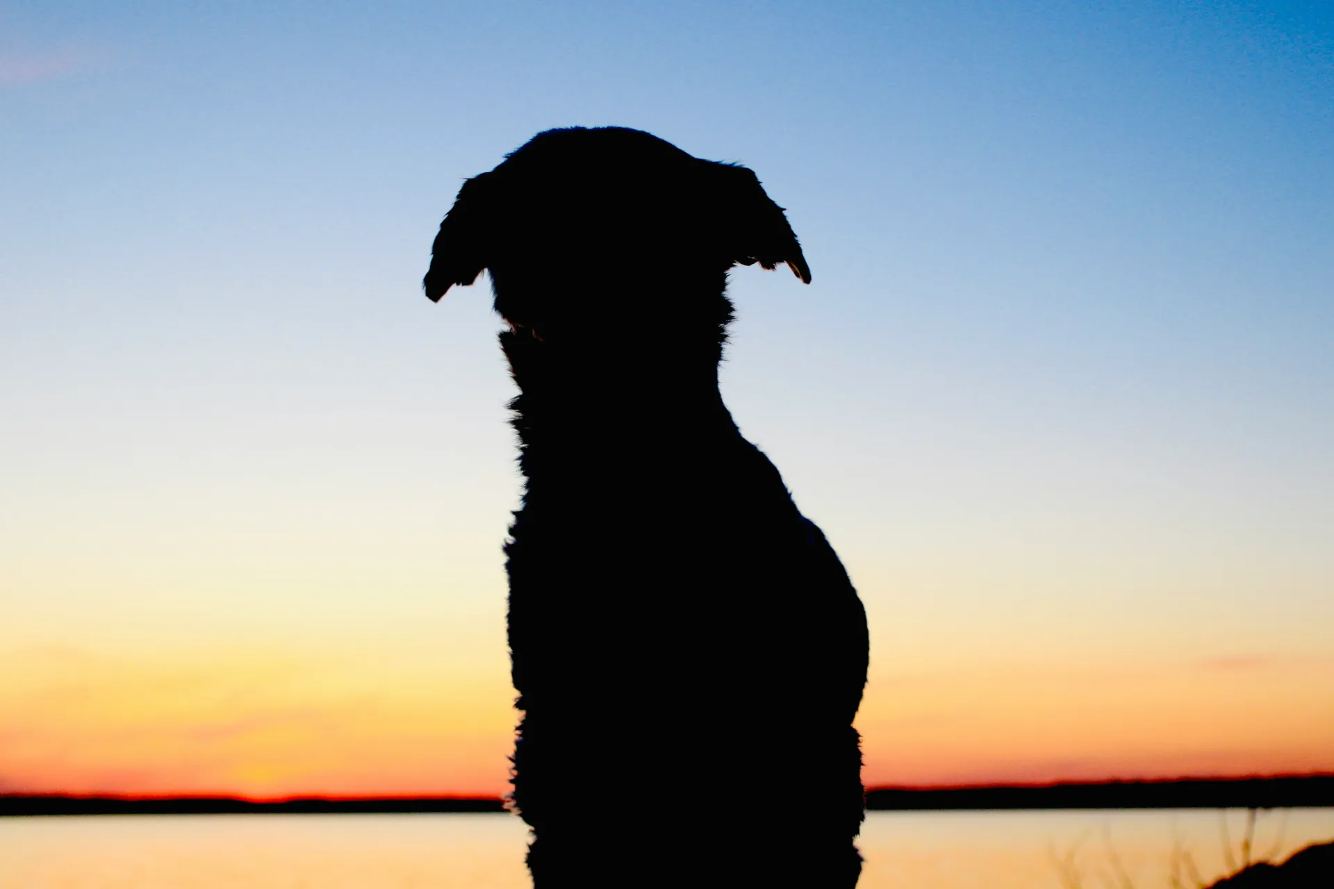 A peaceful silhouette at sunset over still water