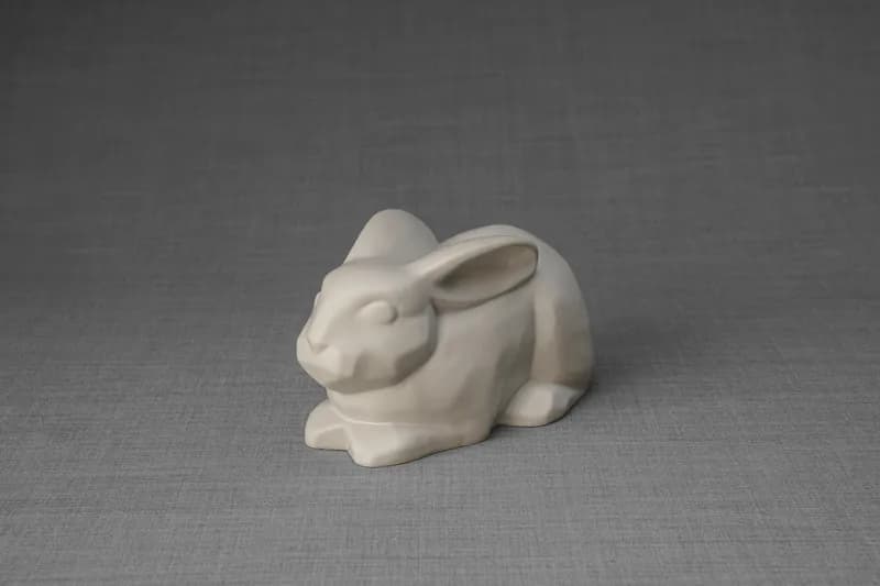 Decorative pet urn at home