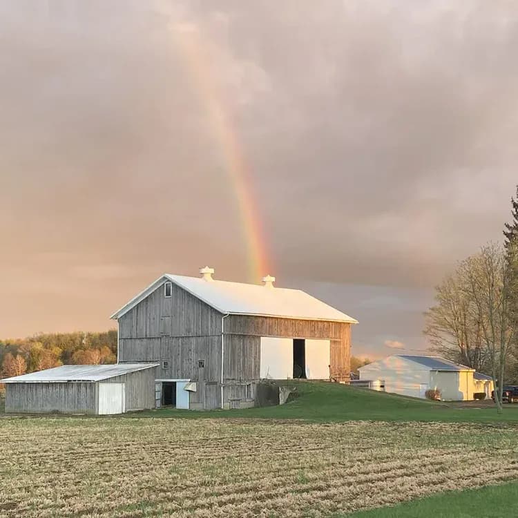 A rainbow over the barn and fields at Farmstead Scattering Garden