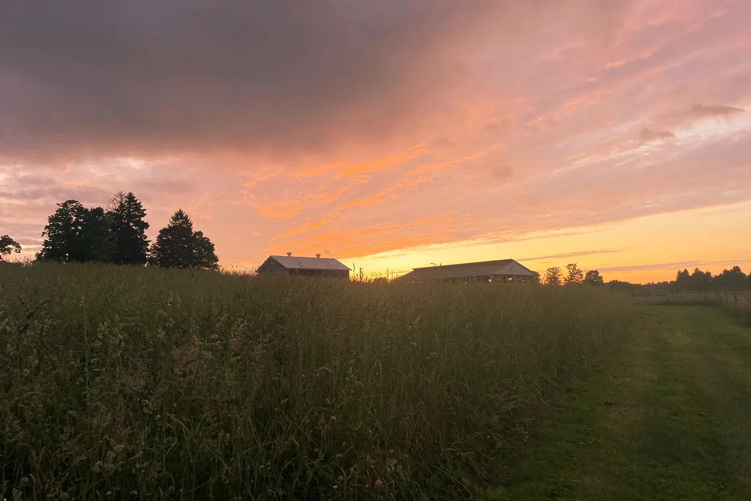 An orange sunset over the fields at Farmstead Scattering Garden